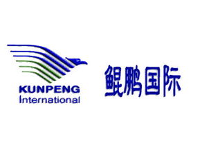 万里鲲鹏 北京国际商务咨询领域的领航者与信息桥梁